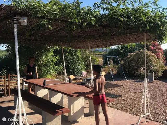 Villa avec piscine Solaire | Espagne, Costa Blanca, Daya Nueva - finca table d'extérieur