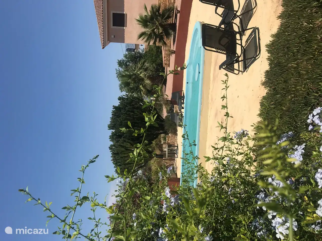 Schwimmbad mit Blick auf den Kaktusgarten