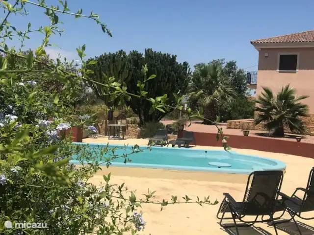 Villa avec piscine Solaire | Espagne, Costa Blanca, Daya Nueva - finca piscine avec vue sur le jardin de cactus