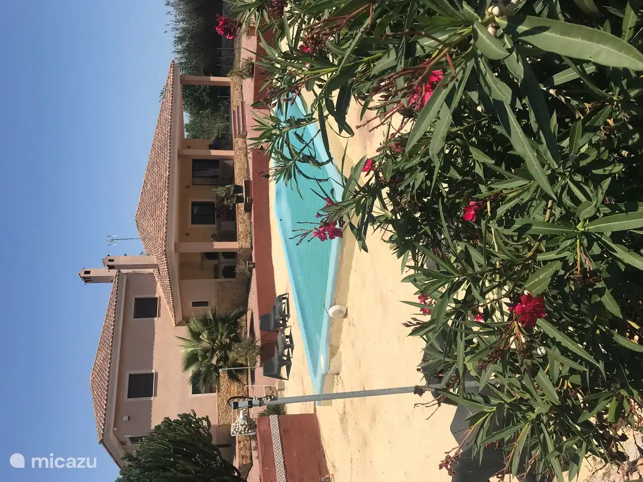 Schwimmbad mit Blick auf das Haus