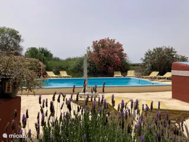 Villa avec piscine Solaire | Espagne, Costa Blanca, Daya Nueva - finca