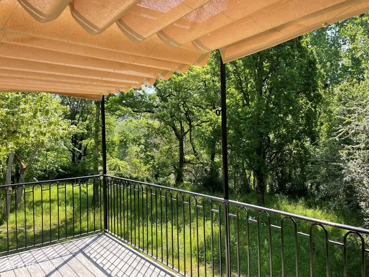 Der Pirol bei Tag, die Eulen bei Nacht