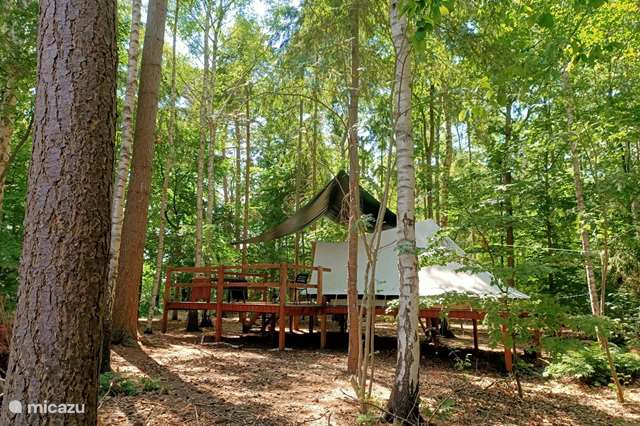 Vakantiehuis Nederland, Overijssel, Bathmen - glamping / safaritent / yurt OP HOGE POTEN, tent in het bos