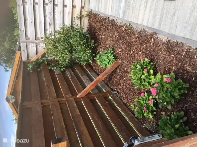 Lado de la terraza con arbustos y plantas.