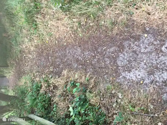 A la derecha de la caravana, camino al exterior del camping. Mucho espacio para pasear perros.