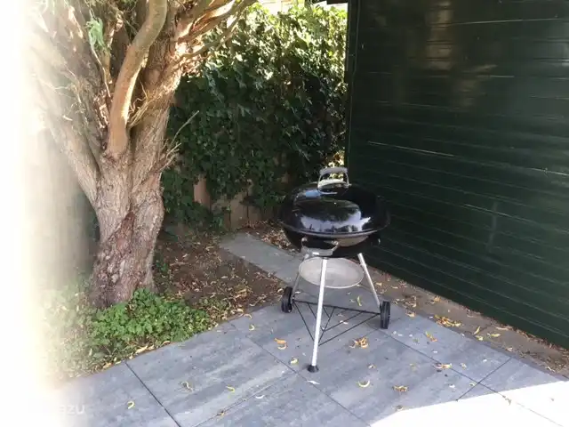 Barbacoa con leña y encendedores en caseta.