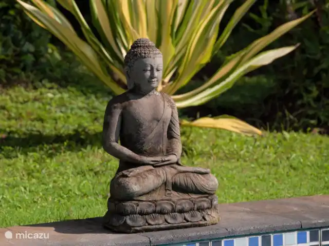 Villa Kelapa Central Lovina | Indonésie, Bali, Lovina - villa