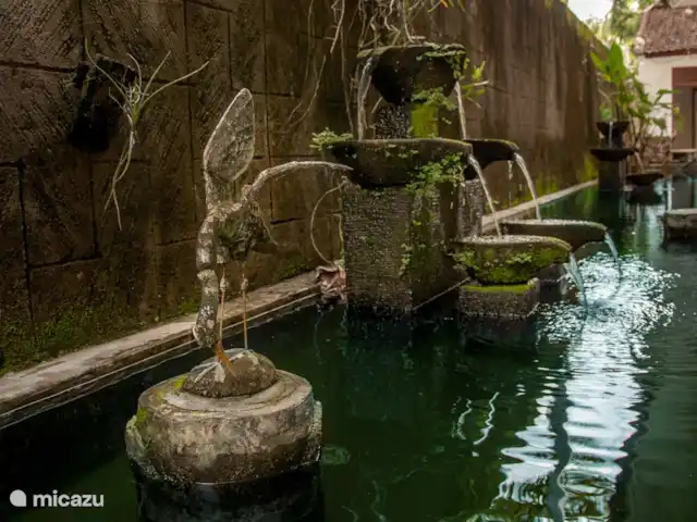 Villa Kelapa Central Lovina | Indonésie, Bali, Lovina - villa