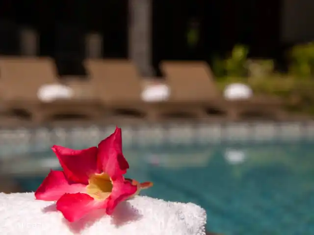 Villa Kelapa Central Lovina | Indonésie, Bali, Lovina - villa