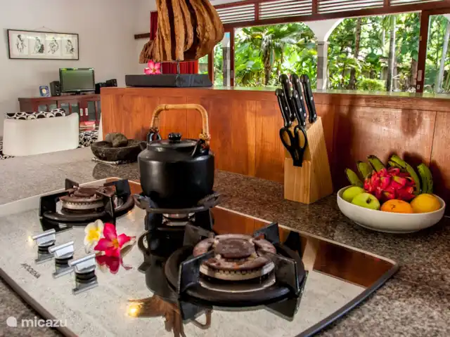 Villa Kelapa Central Lovina | Indonésie, Bali, Lovina - villa