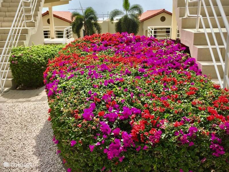Ferienwohnung Curaçao, Curacao-Mitte, Piscadera Appartement Casa Madeleine