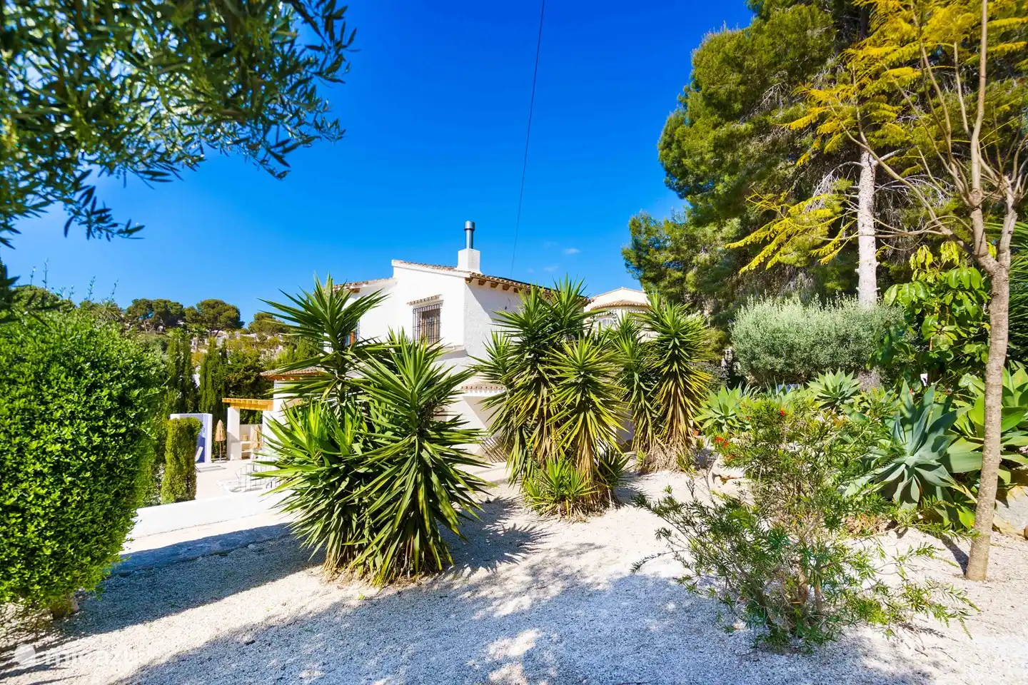 El jardín al costado de la casa.