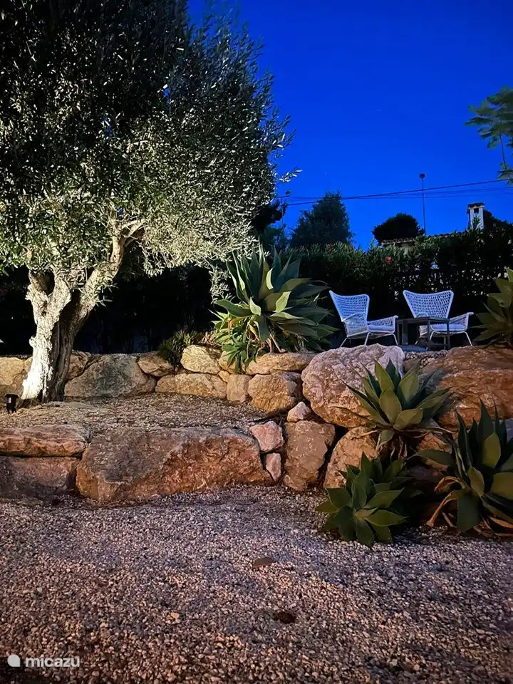 jardín por la tarde