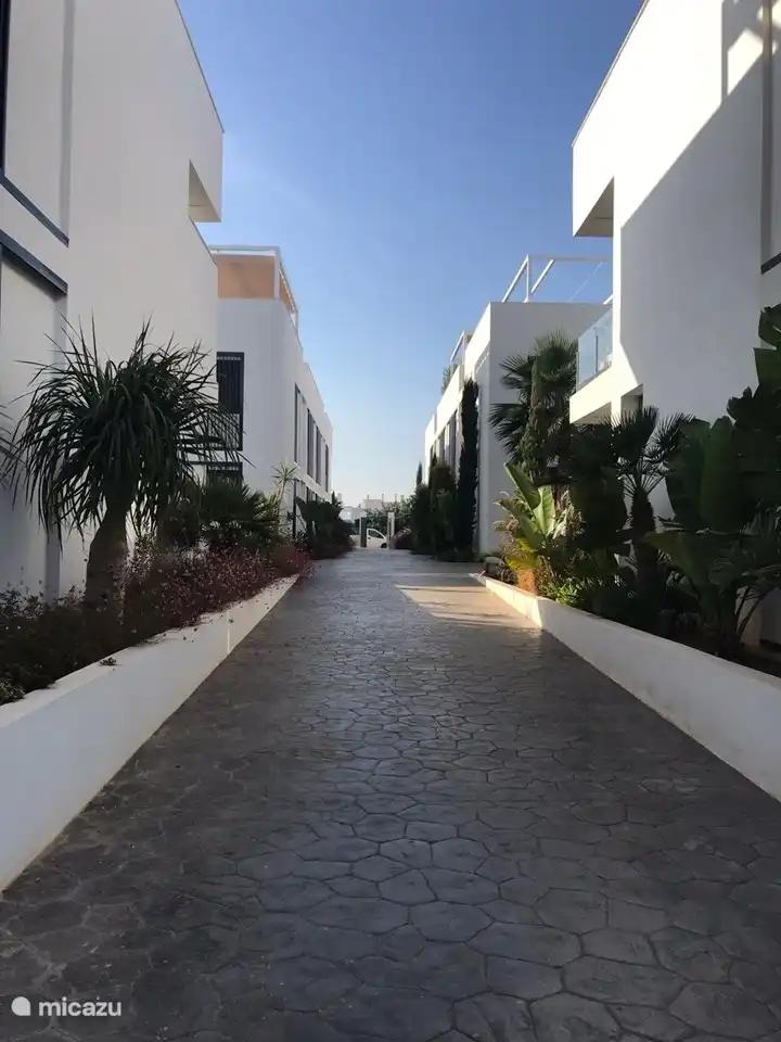 Weg zum Pool mit schönem Garten.