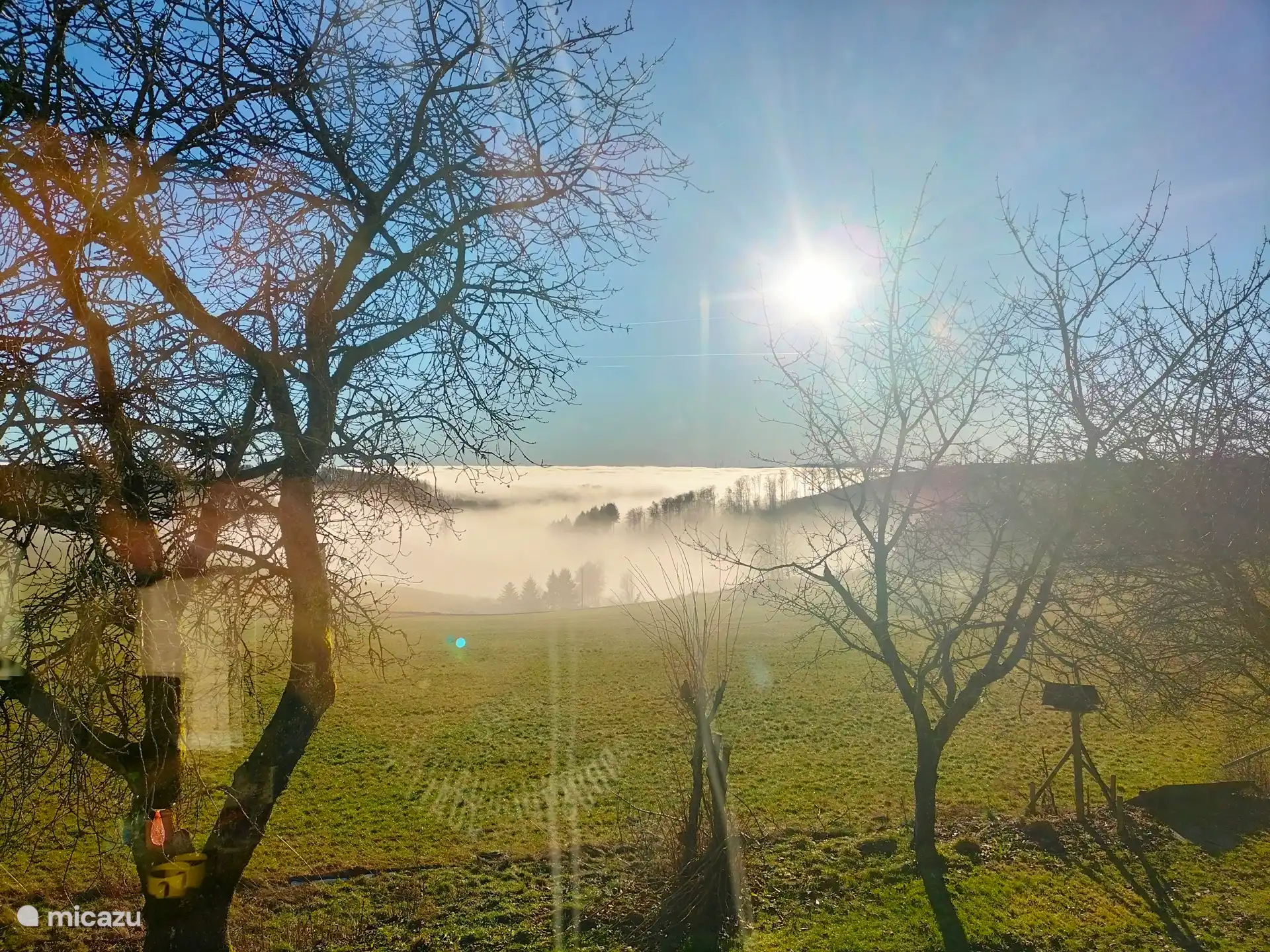 uitzicht vanuit de tuin