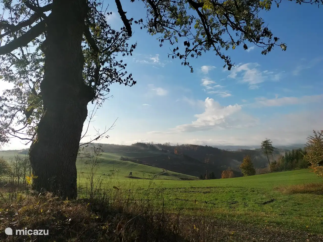 uitzicht op de natuur vanuit de achtertuin