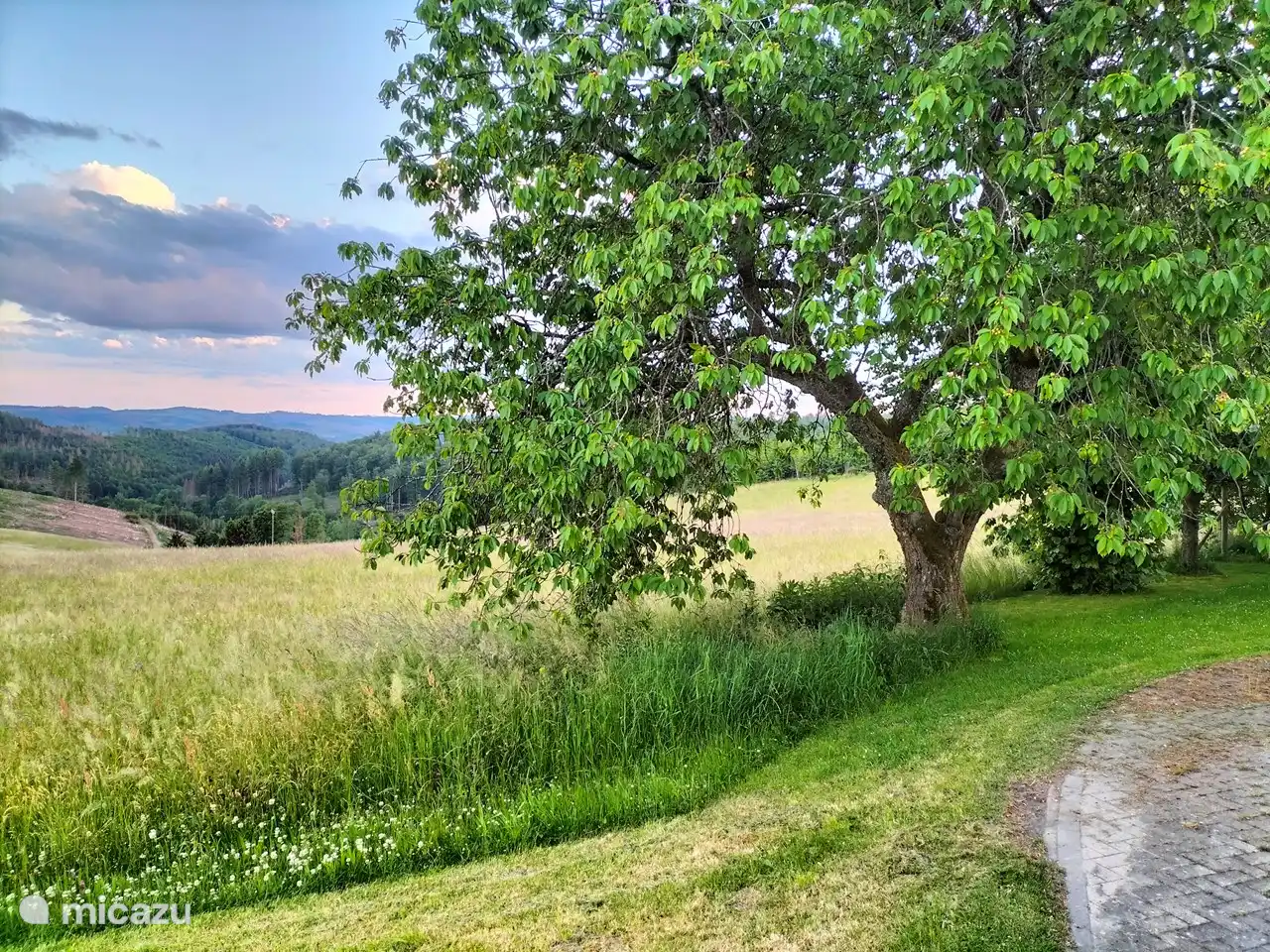uitzicht vanuit de achtertuin