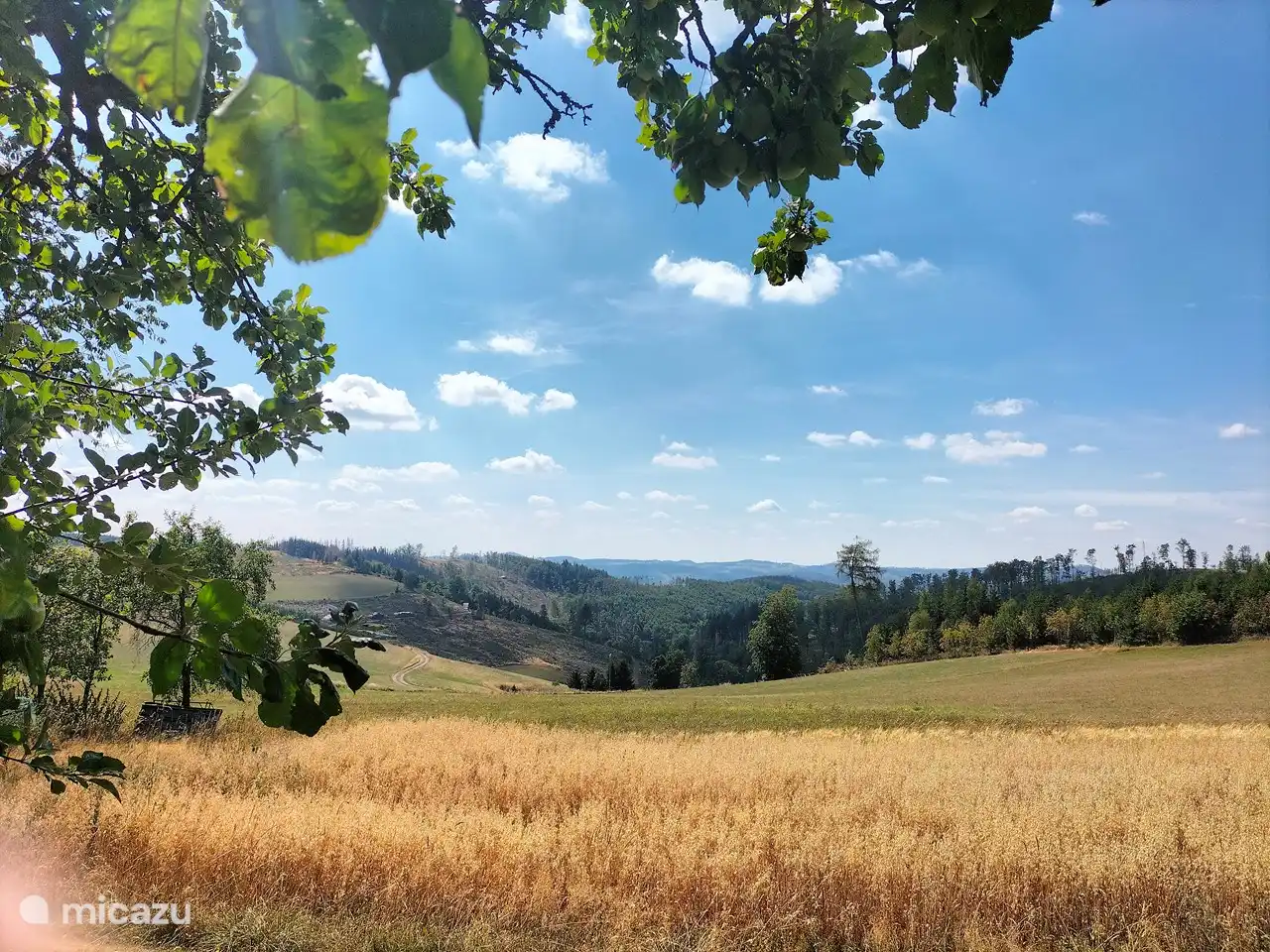 uitzicht op het lanschap