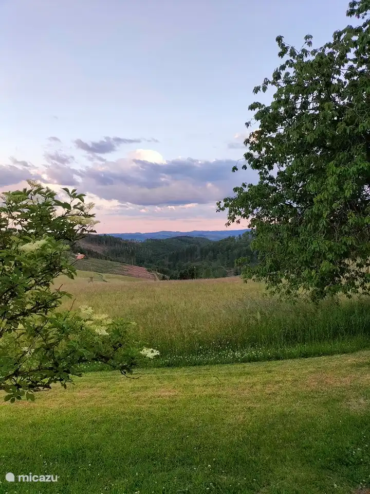uitzicht vanuit het huis