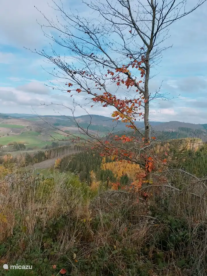 uitzicht over de omgeving