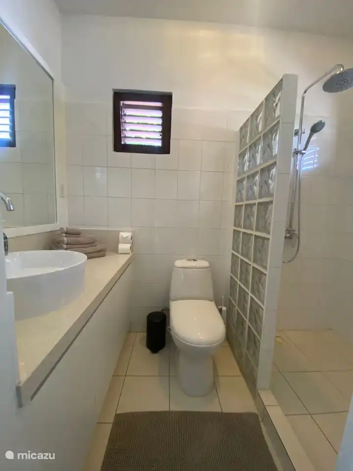 Badkamer master bedroom 