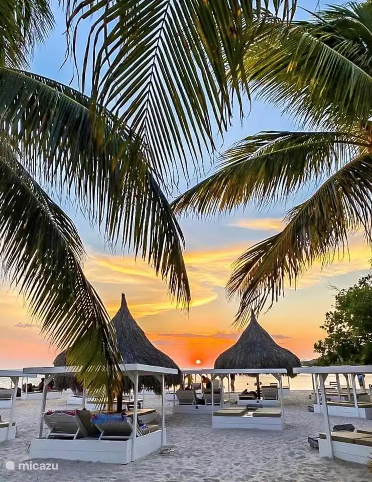 De beste strandbedjes kunt u vinden bij Zest (Jan-Thiel beach)