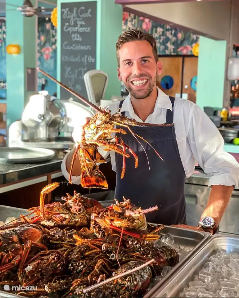 Voor uitgebreider dineren kunt u terecht bij restaurant Zest, informeer ook naar “lobsternight”