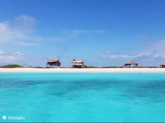 Een dag tripje naar klein Curaçao is een dag genieten op het water, waarbij het zo goed als gegarandeerd is dat u schildpadden ziet tijdens het snorkelen 