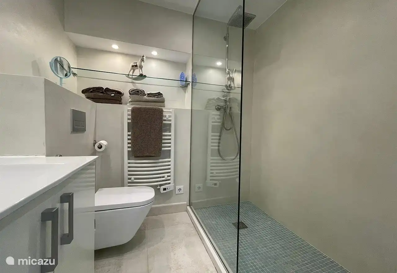 Baño moderno con amplia ducha de efecto lluvia