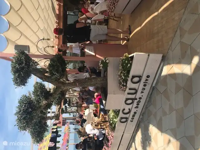 Mucha variedad de terrazas