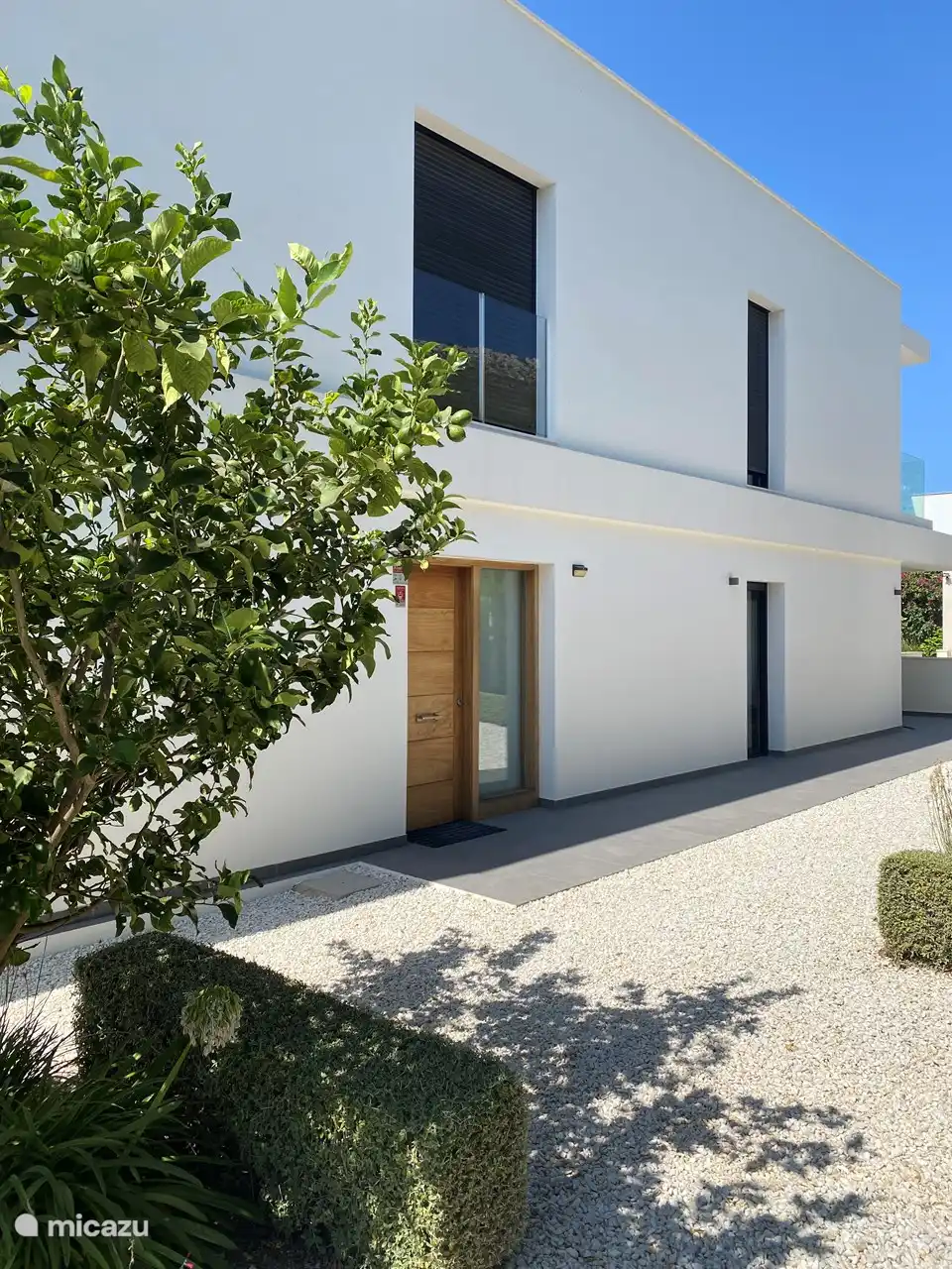 Villa in Jvea  Villa Strelitzia | Micazu