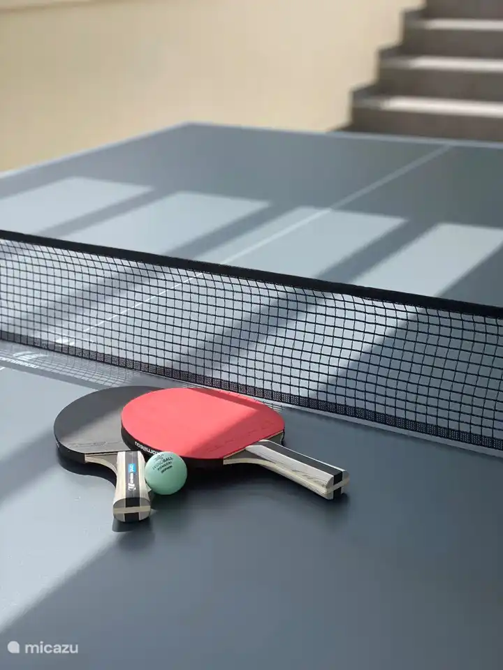 Il y a aussi une table de ping-pong pour petits et grands.