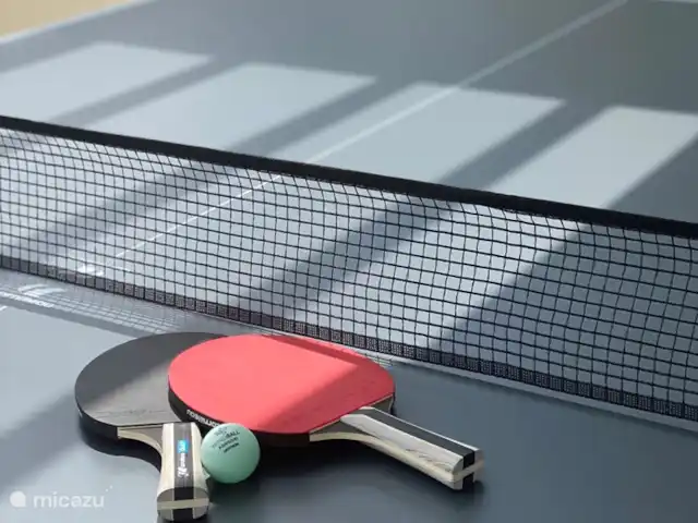 Location de Vacances Espagne, Costa Blanca, Jávea, villa - Villa Strelitzia Il y a aussi une table de ping-pong pour petits et grands.