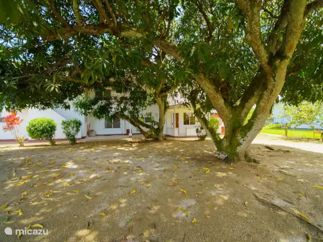 appartement huren in Suriname, Paramaribo, Paramaribo – Mon Plaisir Appartementen Boven veel schaduw met dank aan de manja boom