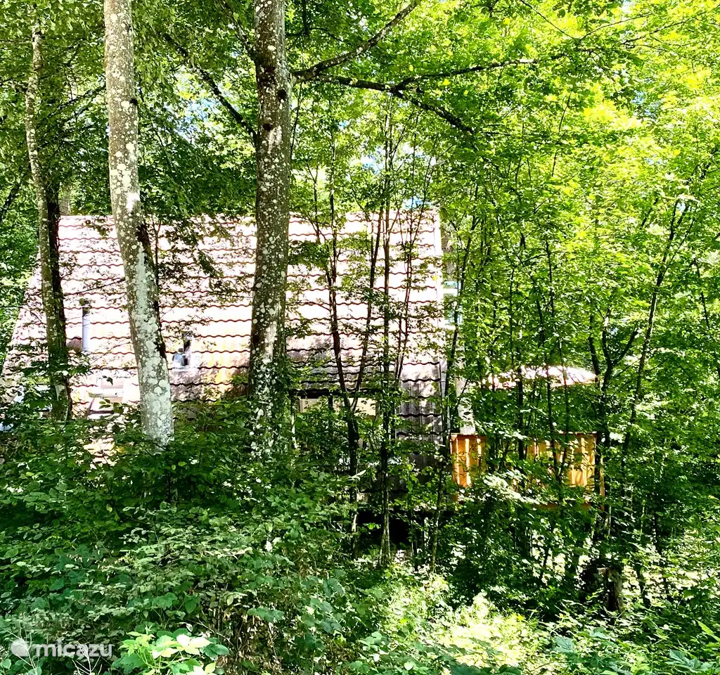 A- frame Huisje Ardennen