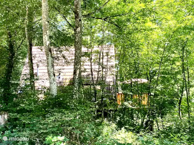 Location de Vacances Belgique, Ardennes, Durbuy, maison de vacances - A-frame Cottage Ardennes