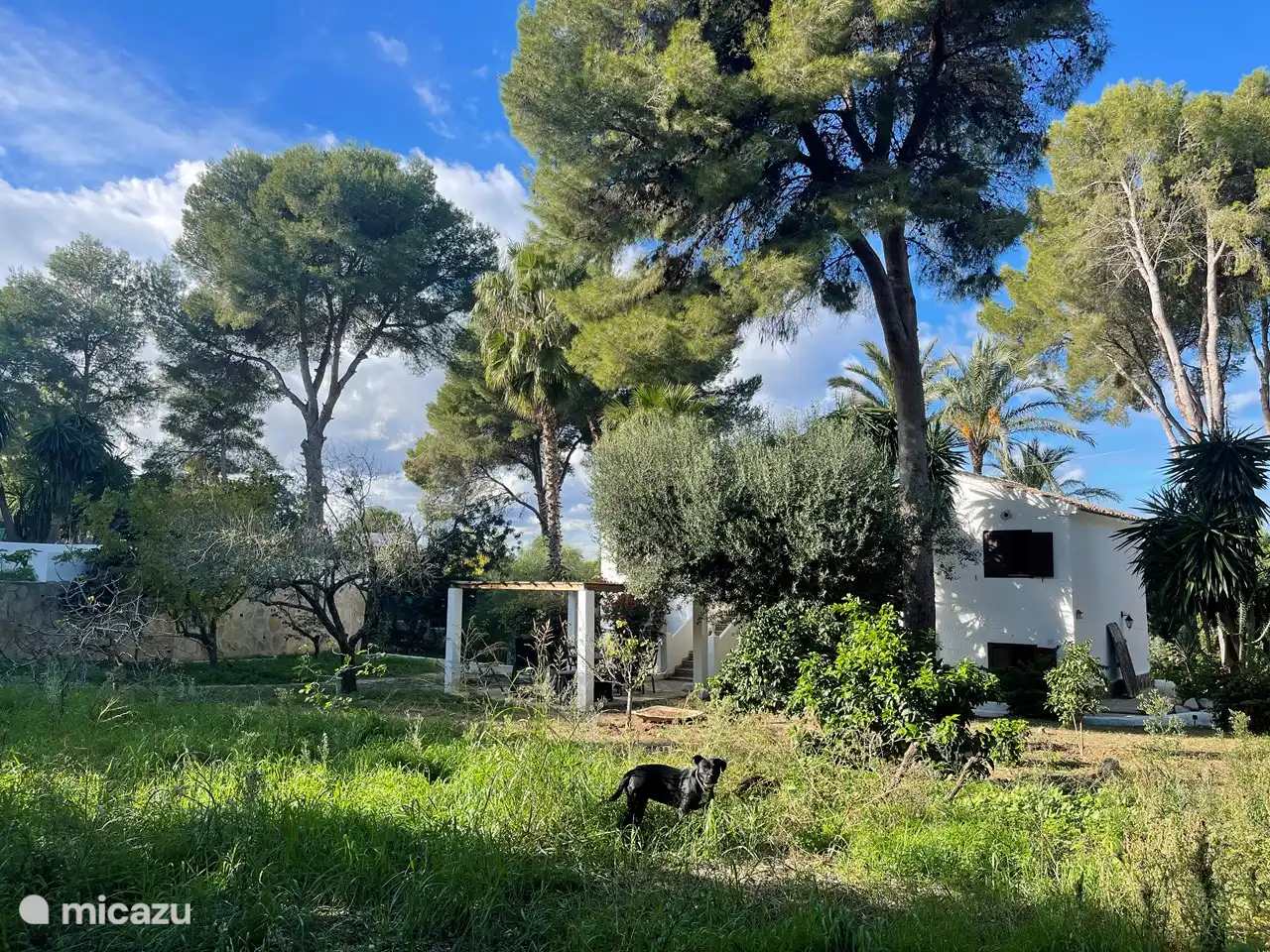 Le jardin des arbres fruitiers