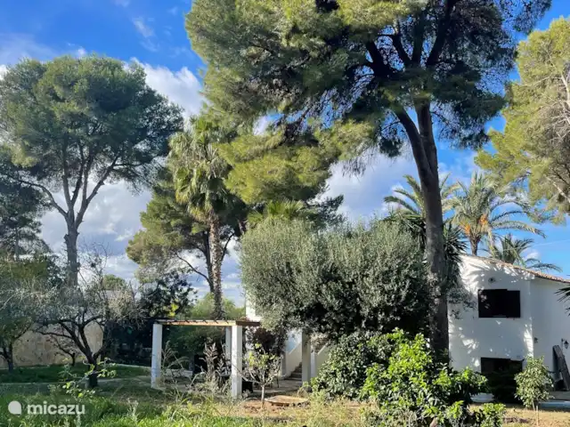 La Posada Paradiso | Casita Blanca 1 | Espagne, Costa Blanca, Jávea - appartement Le jardin des arbres fruitiers