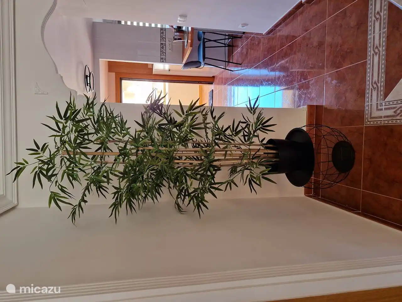 Pflanze im Wohnzimmer.