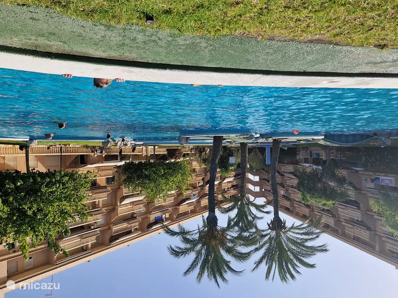 Swimmingpool im Casa Jayna.