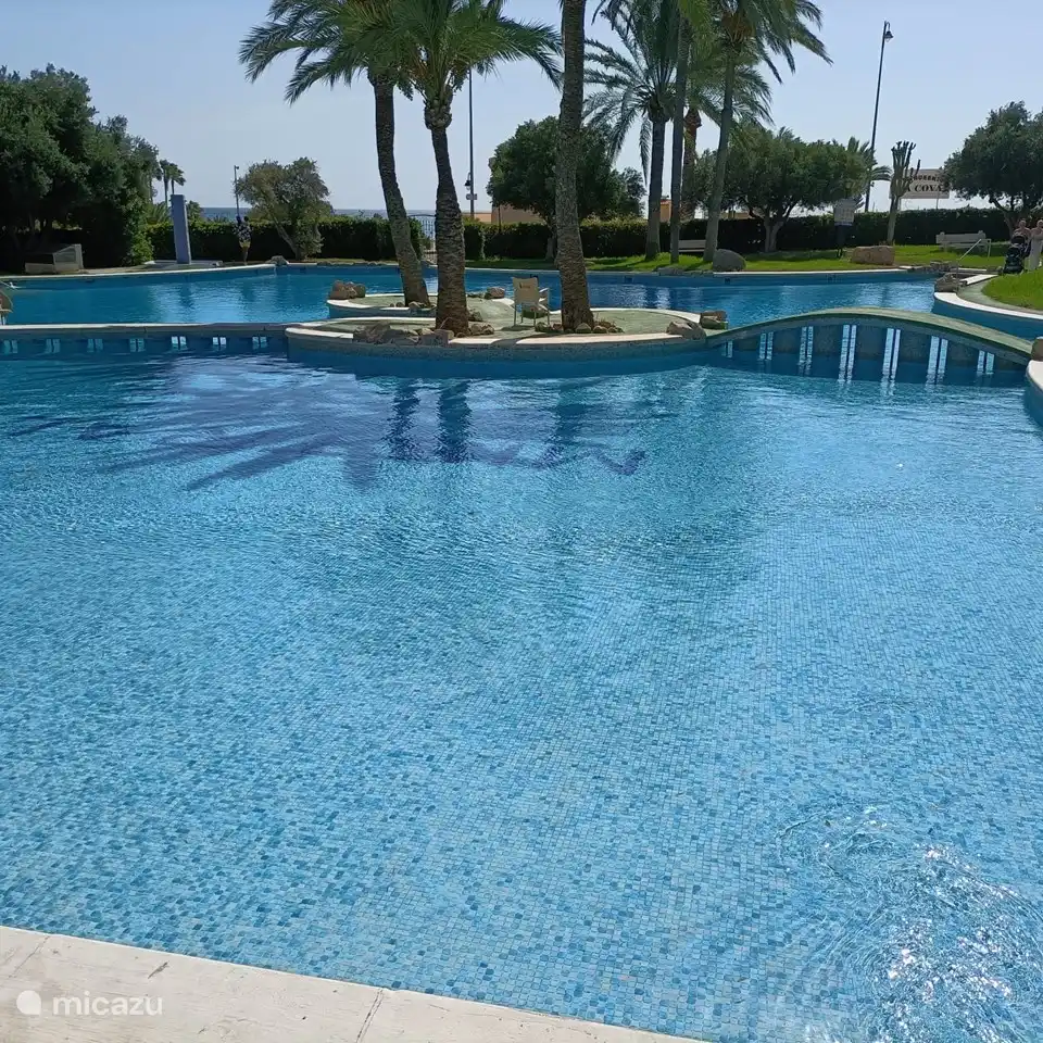 Swimmingpool im Casa Jayna