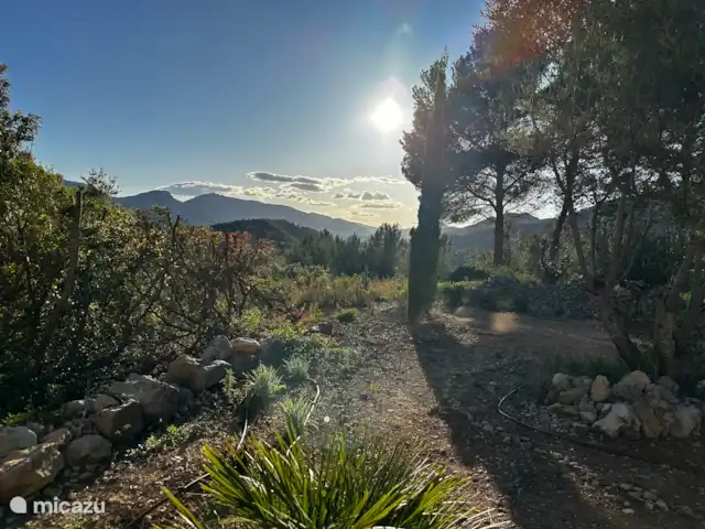Villa Toro | Espagne, Costa Blanca, Lliber - villa Nature autour de la villa