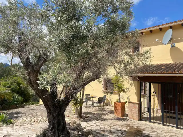 Villa Toro | Espagne, Costa Blanca, Lliber - villa La terrasse avant avec olivier