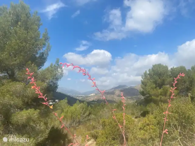 Villa Toro | Espagne, Costa Blanca, Lliber - villa Vue sur la piscine