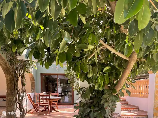 La Posada Paradiso | Casita Oliva 2 huren in Spanje, Costa Blanca, Jávea - appartement het terras