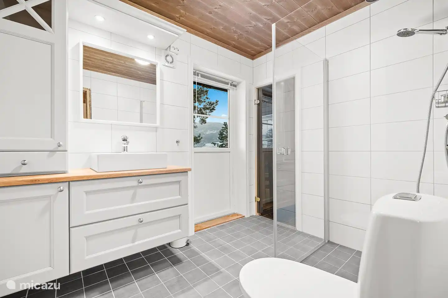 Badkamer beneden met sauna