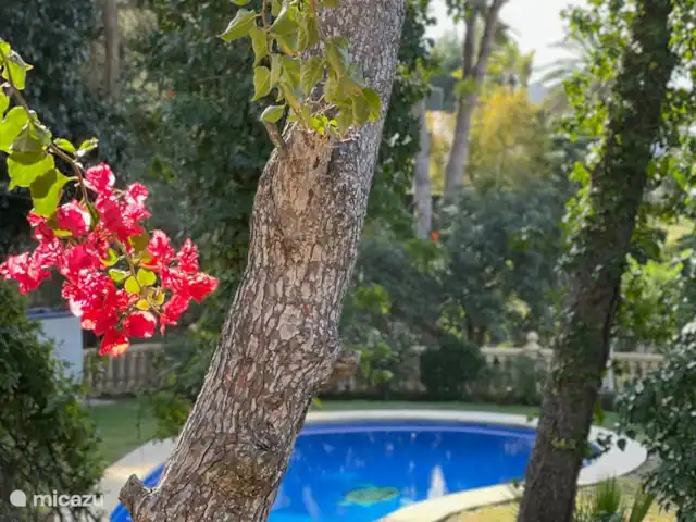 La Posada Paraíso | Casita Oliva 1 en España, Costa Blanca, Jávea - apartamento el jardín