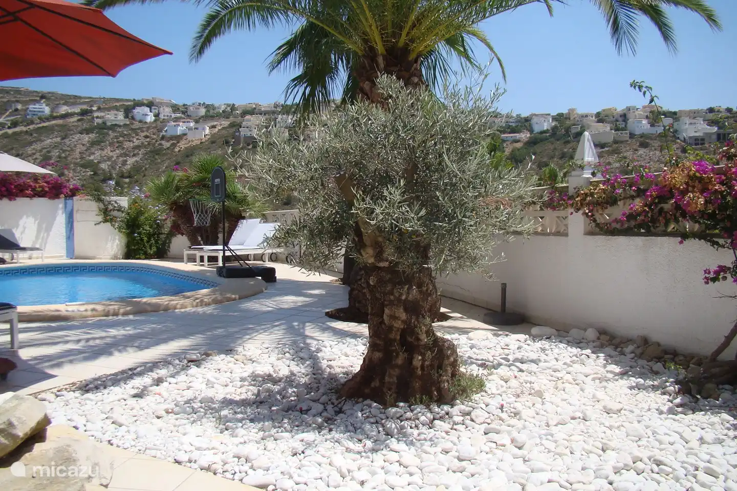 Mediterraner Garten rund um den Pool