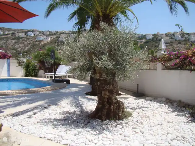 Villa El Escondrijo | Espagne, Costa Blanca, Moraira - villa Jardin méditerranéen autour de la piscine