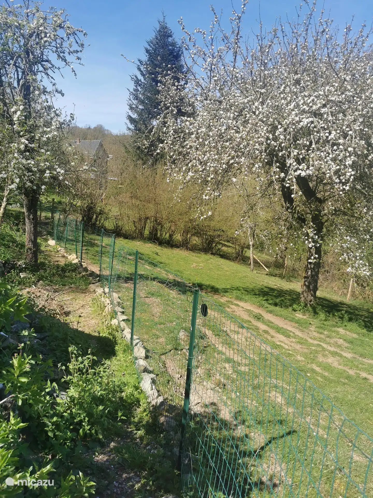 umzäunte Terrasse neben der Wiese